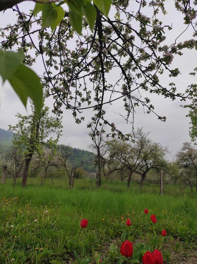 Nad Cheremoshem Тюдів Екстер'єр фото