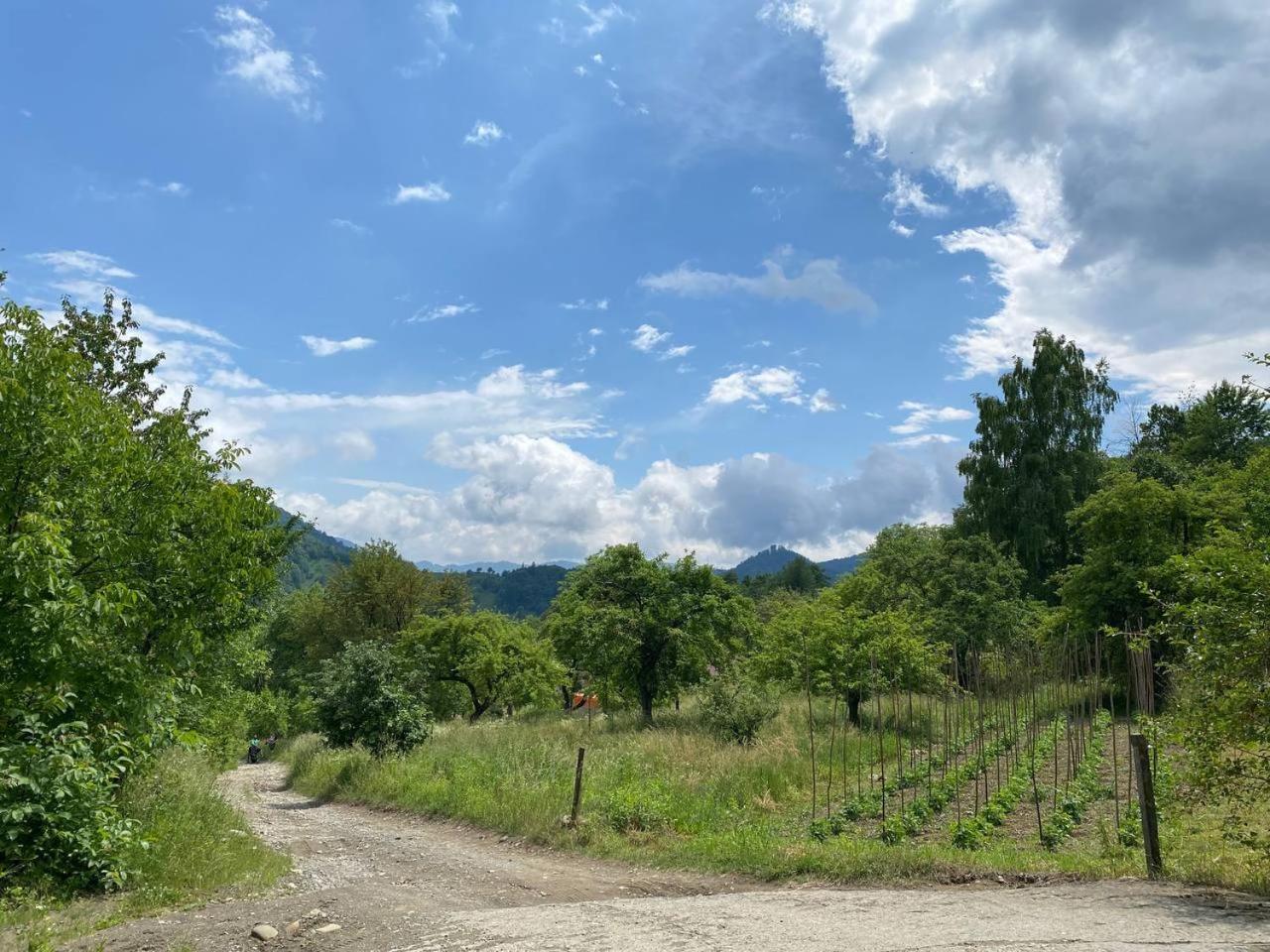 Nad Cheremoshem Тюдів Екстер'єр фото